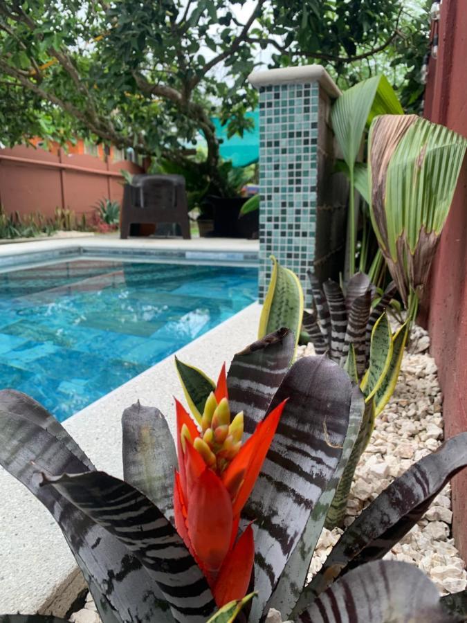 Villa Jade, La Fortuna Downtown מראה חיצוני תמונה